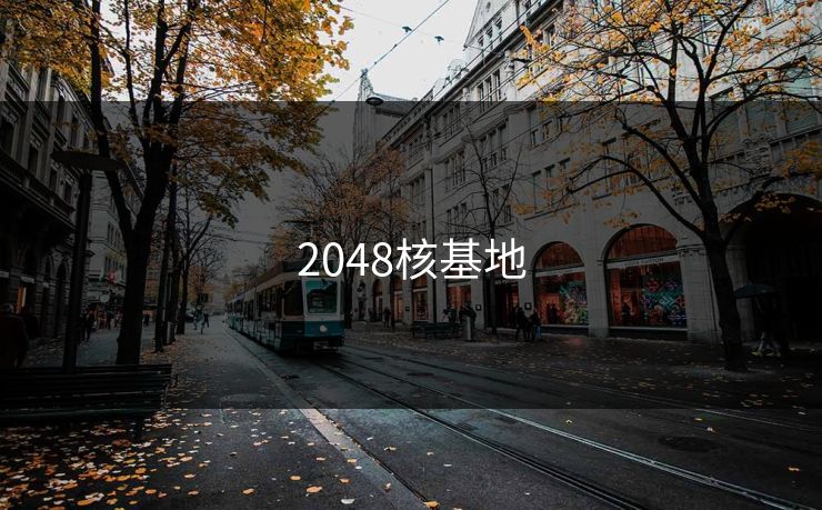 2048核基地