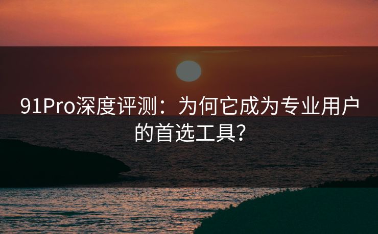 91Pro深度评测：为何它成为专业用户的首选工具？