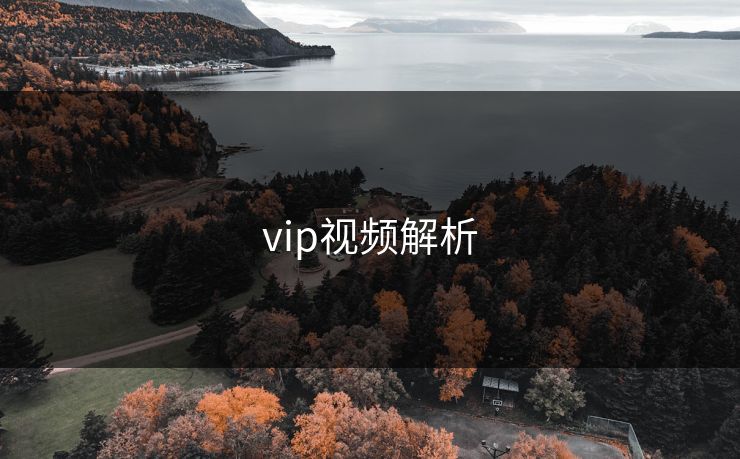 vip视频解析