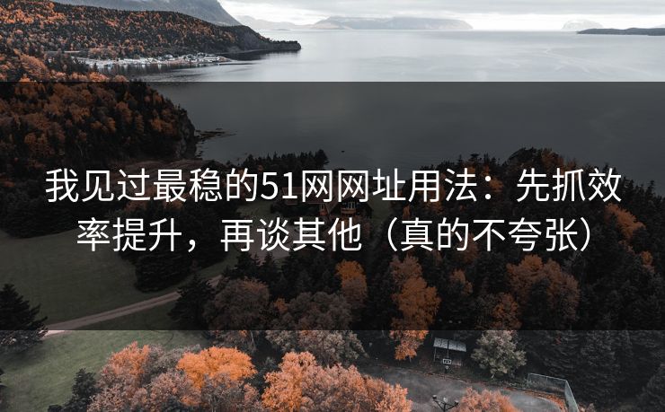 我见过最稳的51网网址用法：先抓效率提升，再谈其他（真的不夸张）